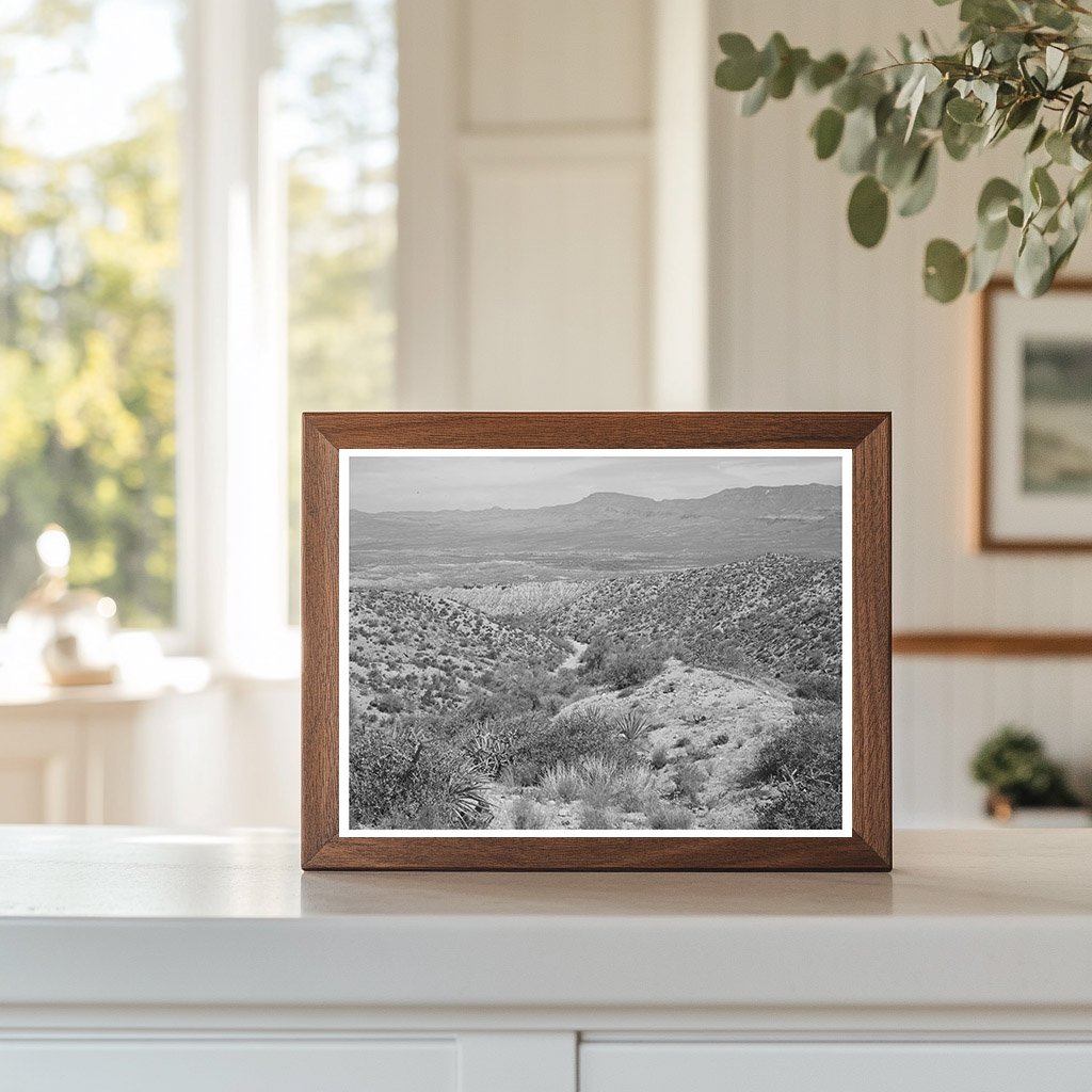 Desert Landscape along Apache Trail Gila County Arizona 1940