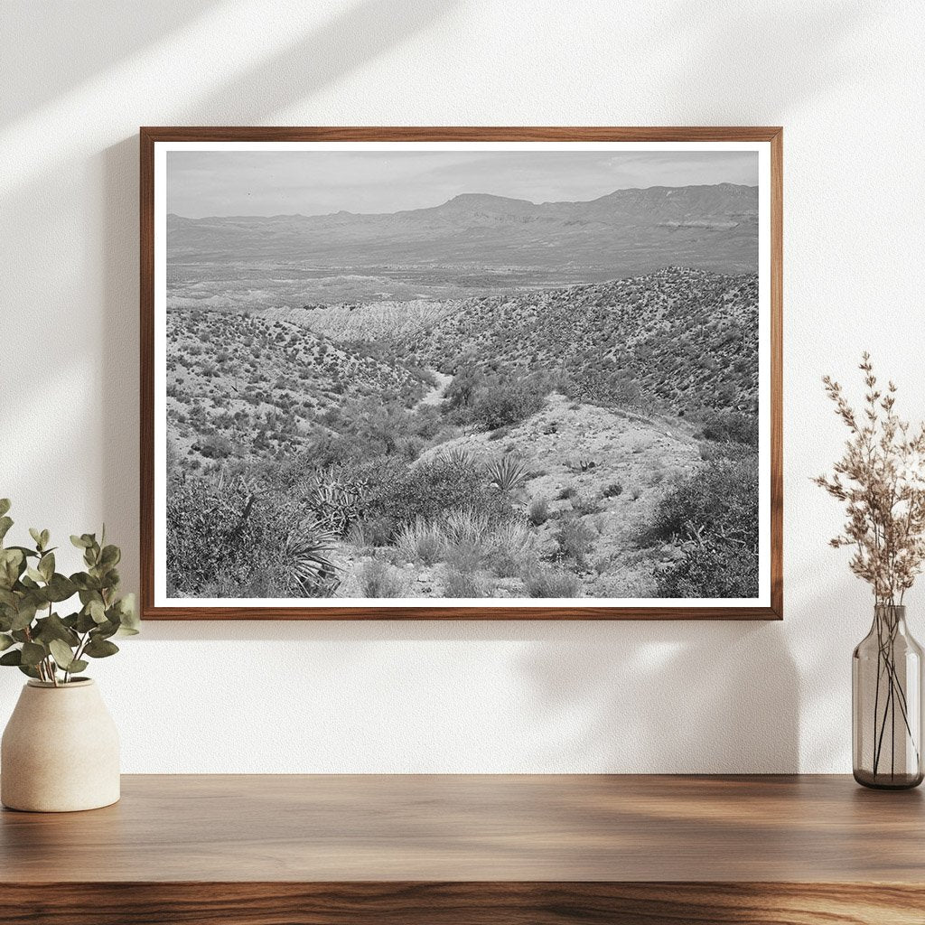 Desert Landscape along Apache Trail Gila County Arizona 1940