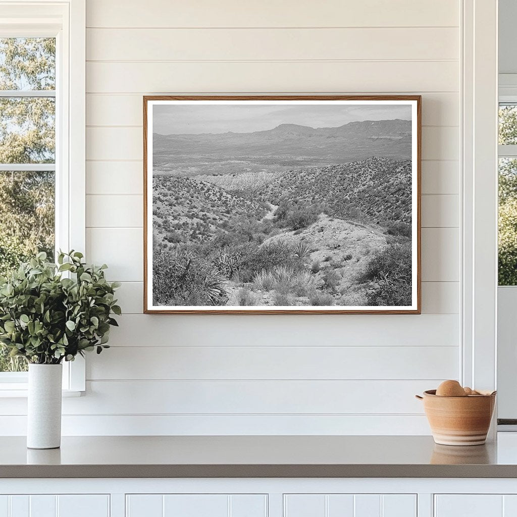 Desert Landscape along Apache Trail Gila County Arizona 1940