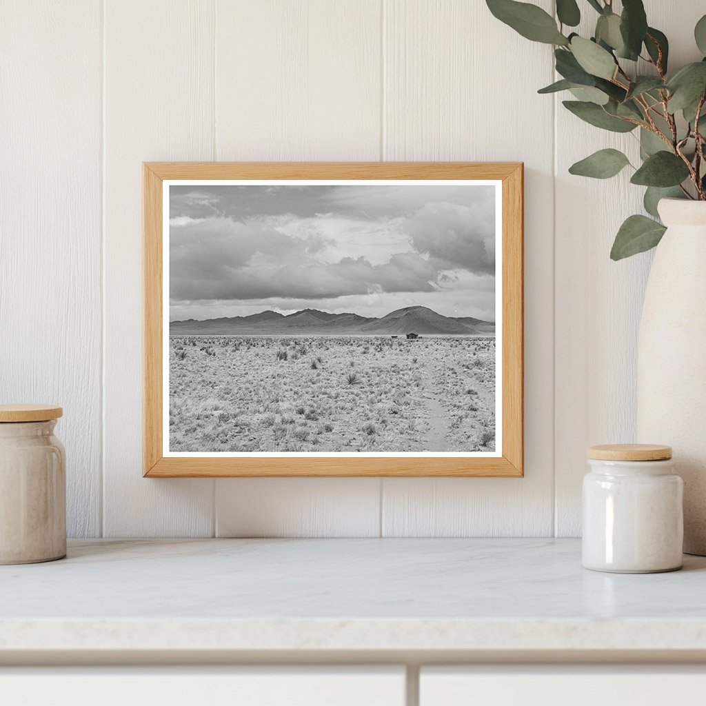 Desert Landscape Socorro County New Mexico 1940