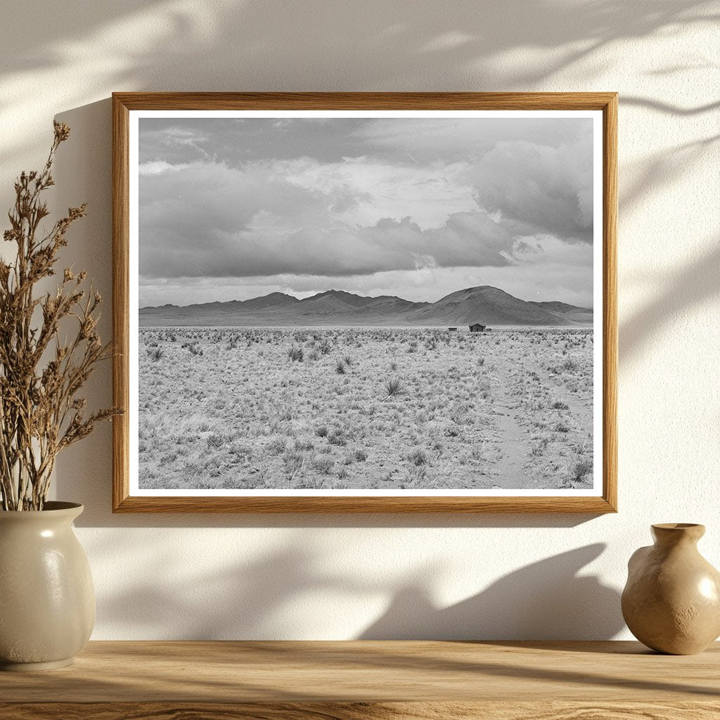 Desert Landscape Socorro County New Mexico 1940
