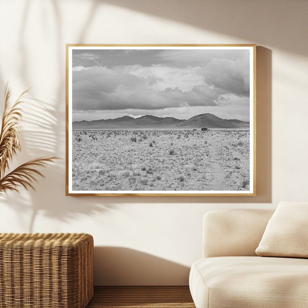 Desert Landscape Socorro County New Mexico 1940