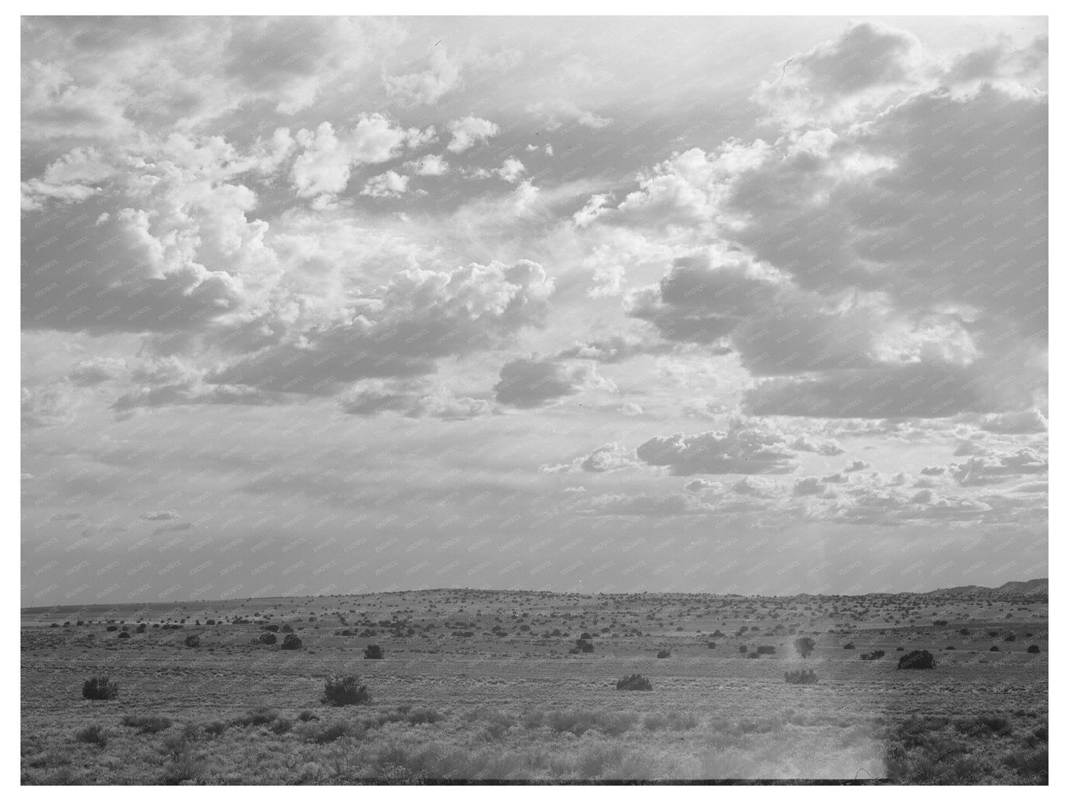 Desert Scene in Sandoval County New Mexico 1940