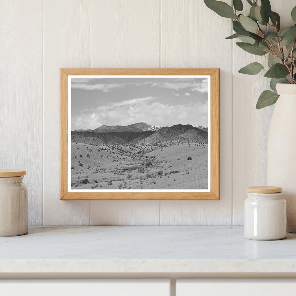 Desert Wash with Snow-Capped Mountains New Mexico 1940
