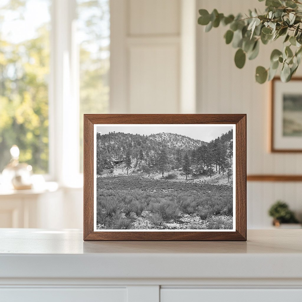 Snow in White House Canyon New Mexico 1940