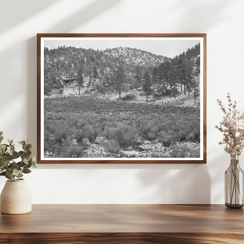 Snow in White House Canyon New Mexico 1940