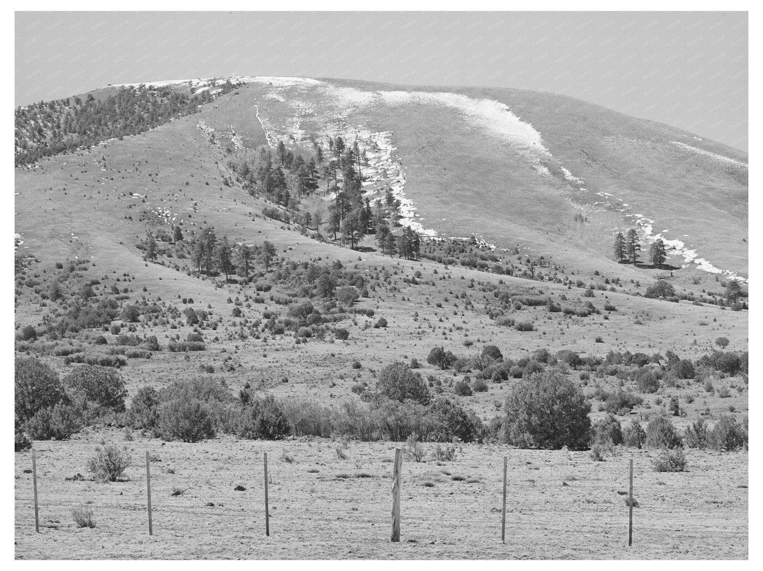 Spring Snow on Apache County Mountains April 1940