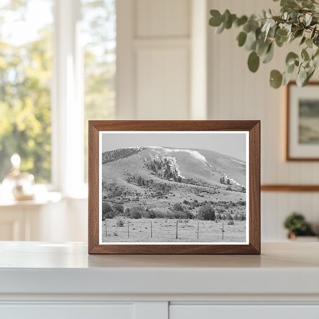 Spring Snow on Apache County Mountains April 1940