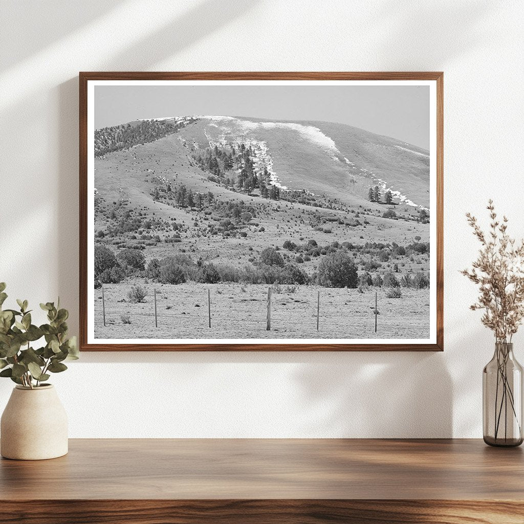 Spring Snow on Apache County Mountains April 1940