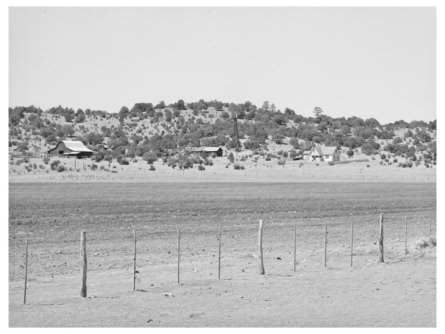Navajo County Arizona Mountain Range April 1940
