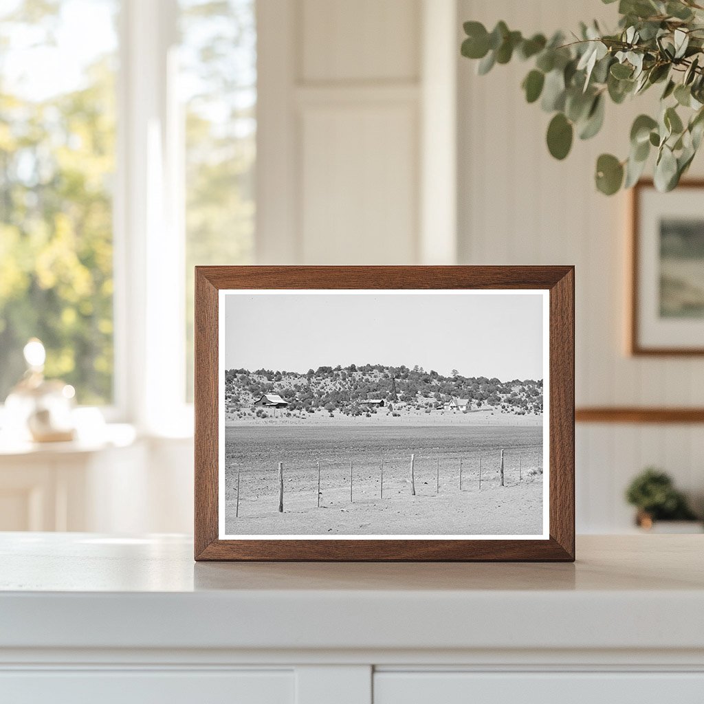 Navajo County Arizona Mountain Range April 1940