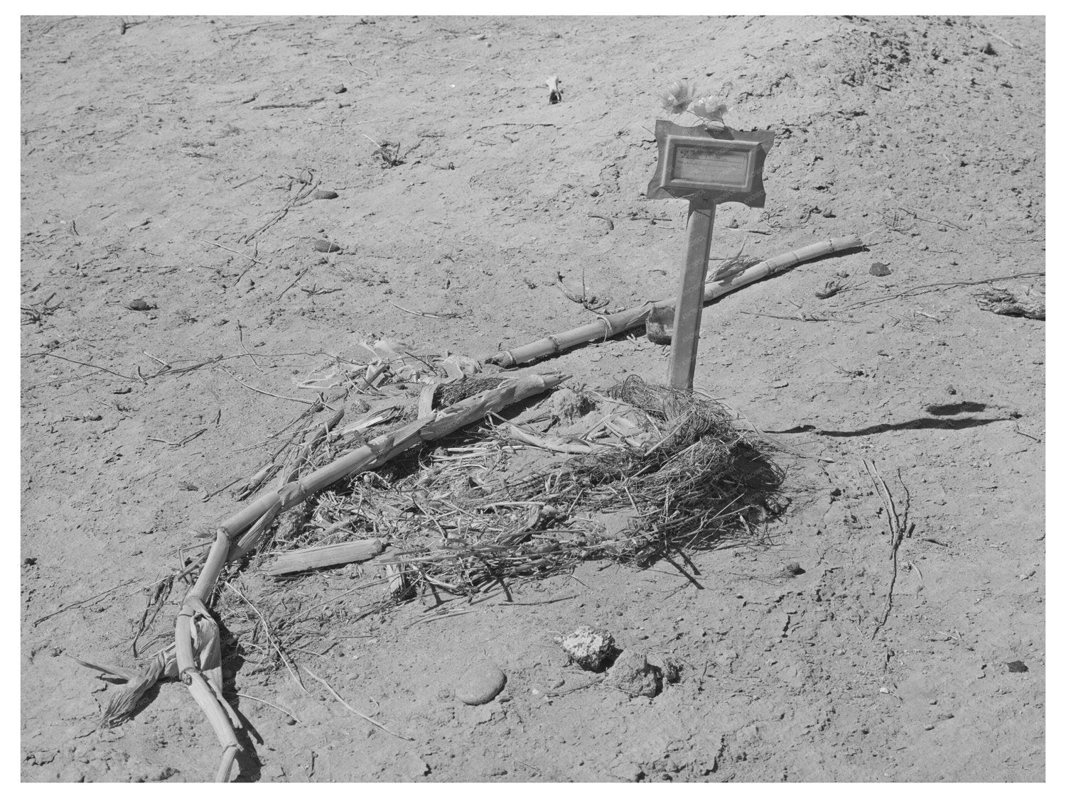 Spanish-American Grave in Bernalillo County 1940