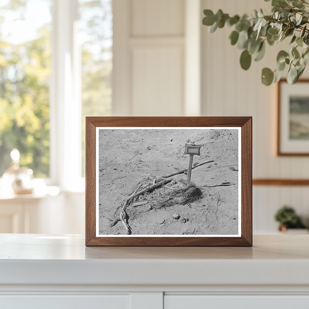 Spanish-American Grave in Bernalillo County 1940