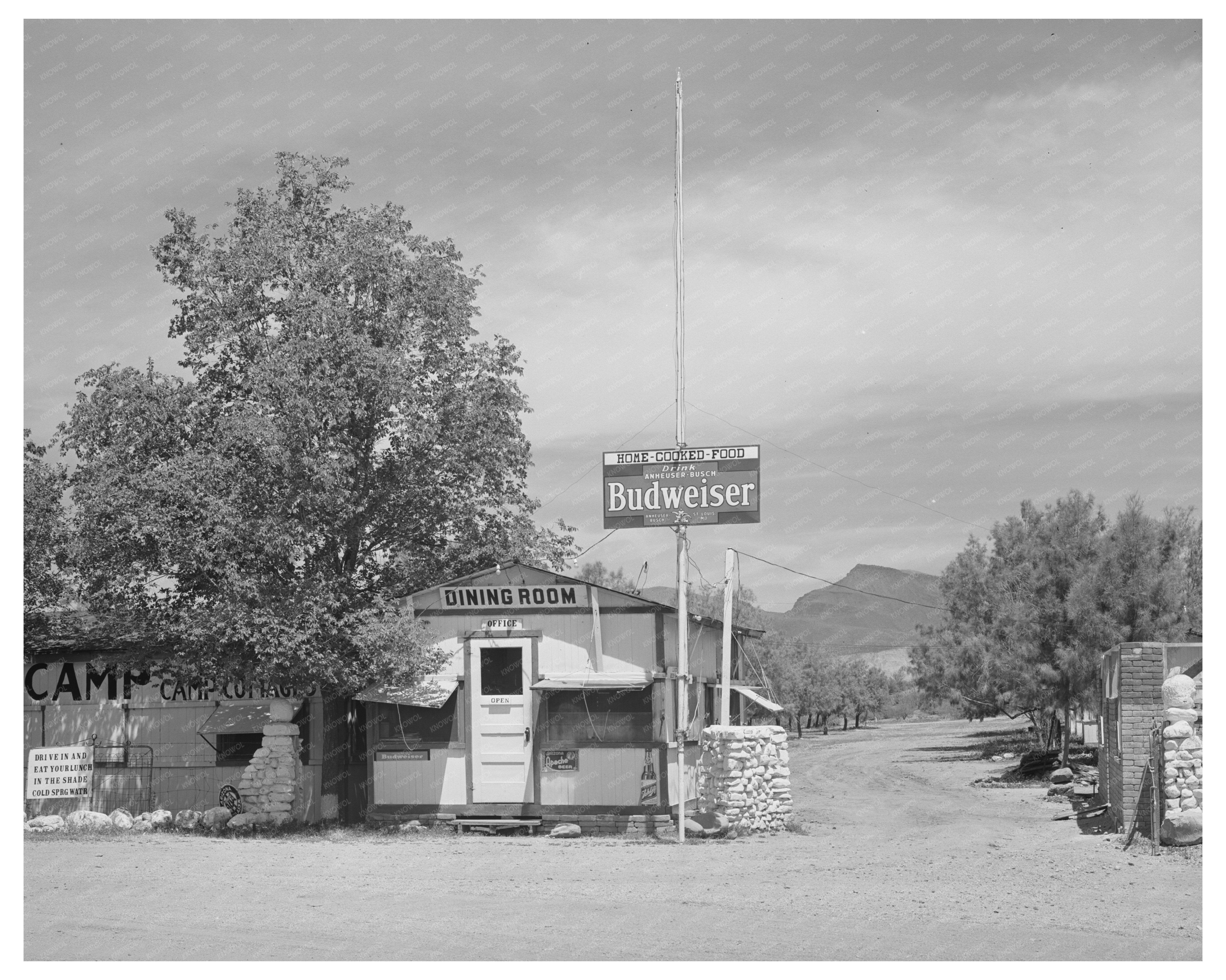 Tourist Camp in Roosevelt Arizona April 1940