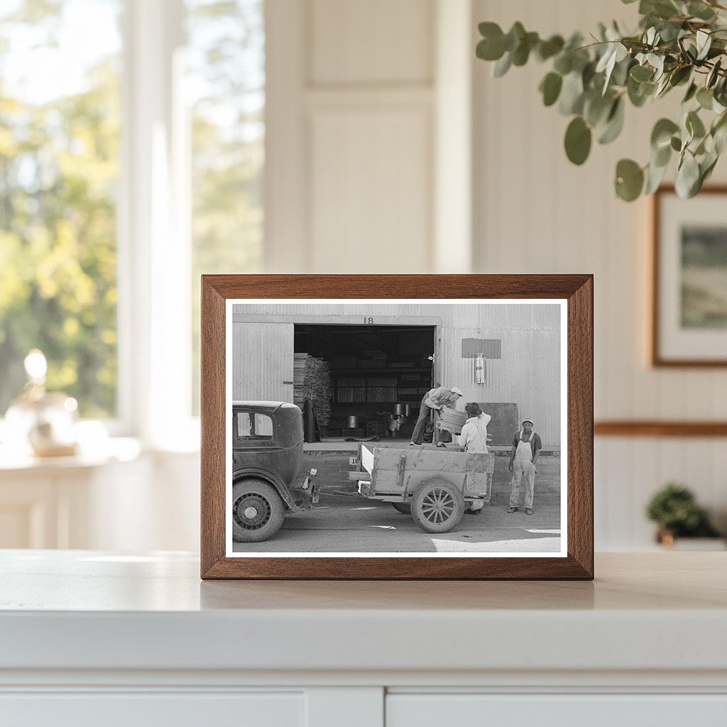 Farmer Loading Cut Lumber in Phoenix Arizona 1940