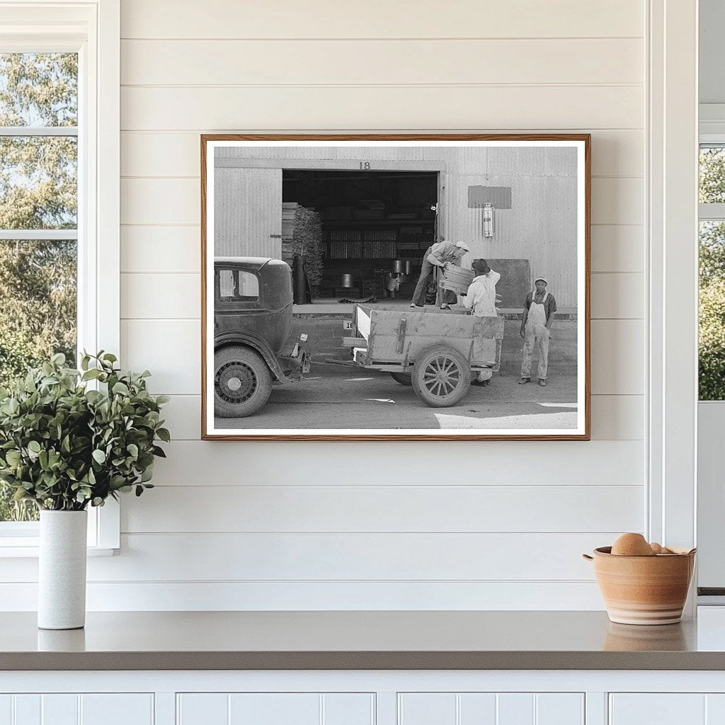 Farmer Loading Cut Lumber in Phoenix Arizona 1940