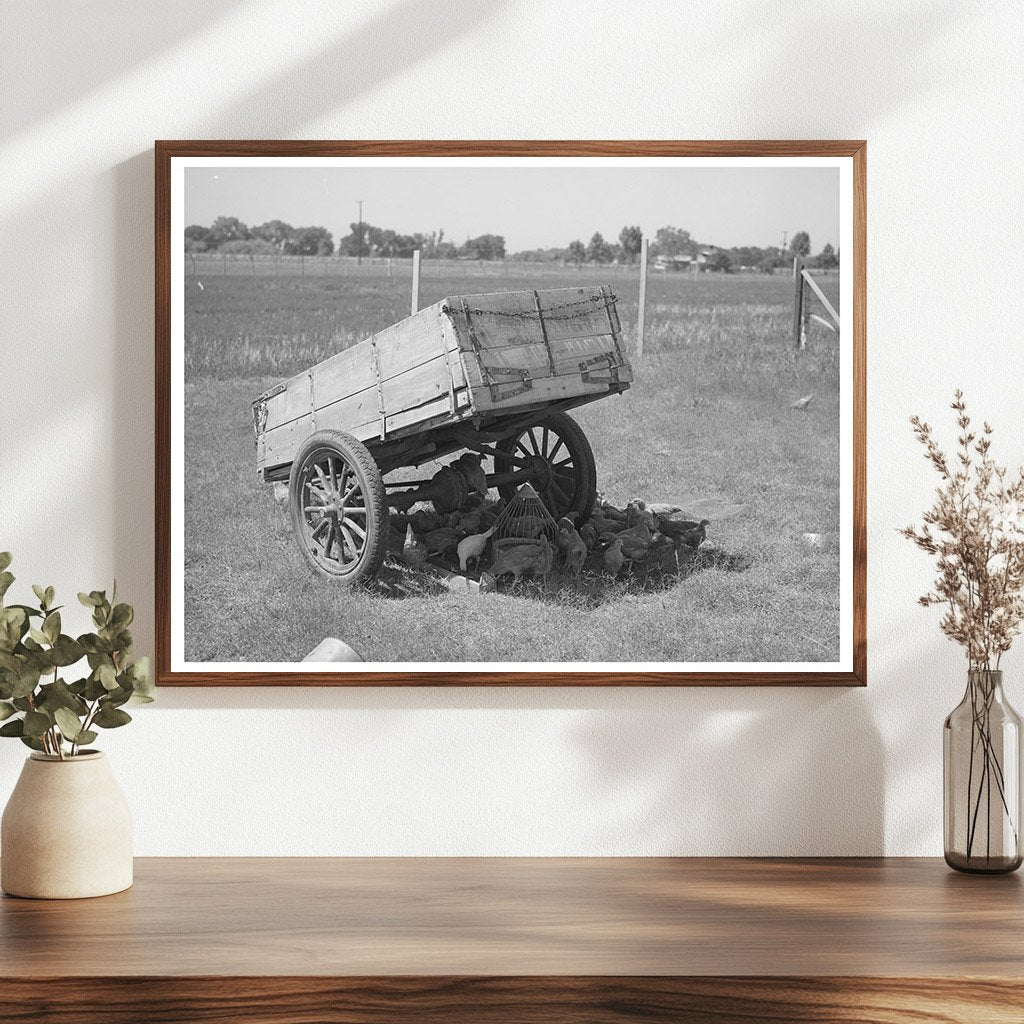 Chickens Under Trailer Maricopa County Arizona 1940