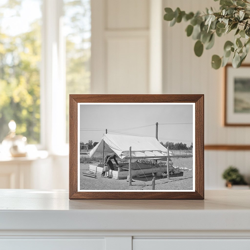 Poultry Raising on Part-Time Farms in Arizona 1940