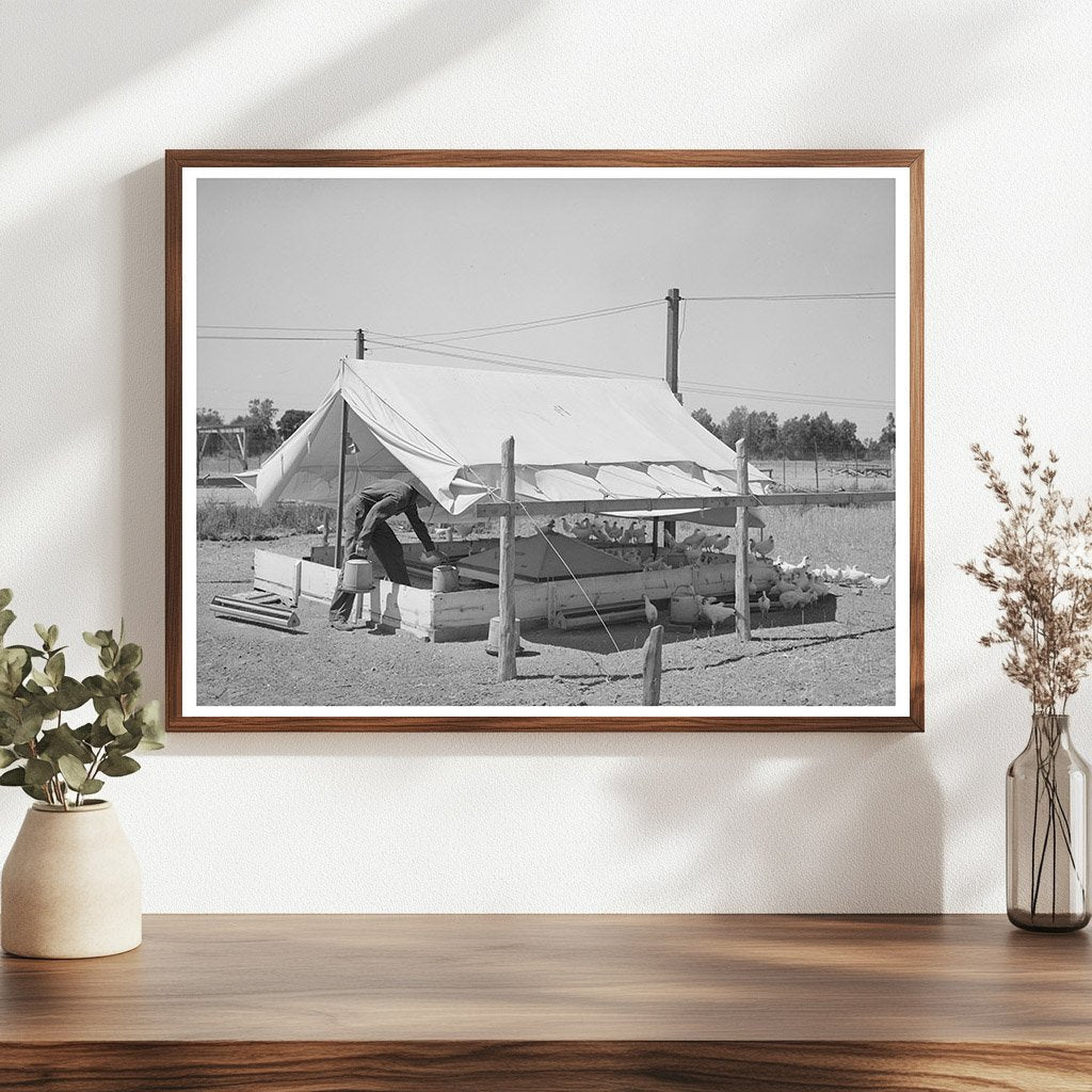 Poultry Raising on Part-Time Farms in Arizona 1940