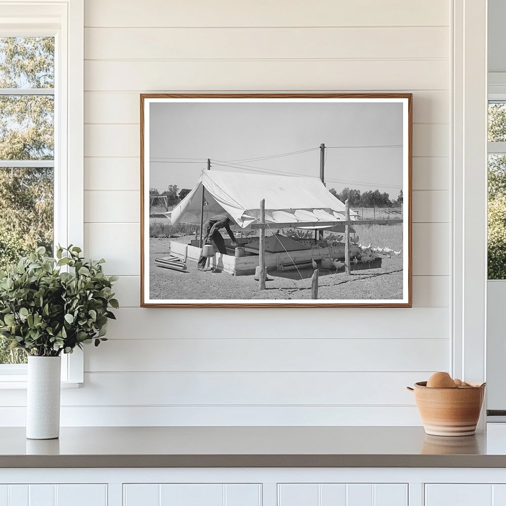 Poultry Raising on Part-Time Farms in Arizona 1940