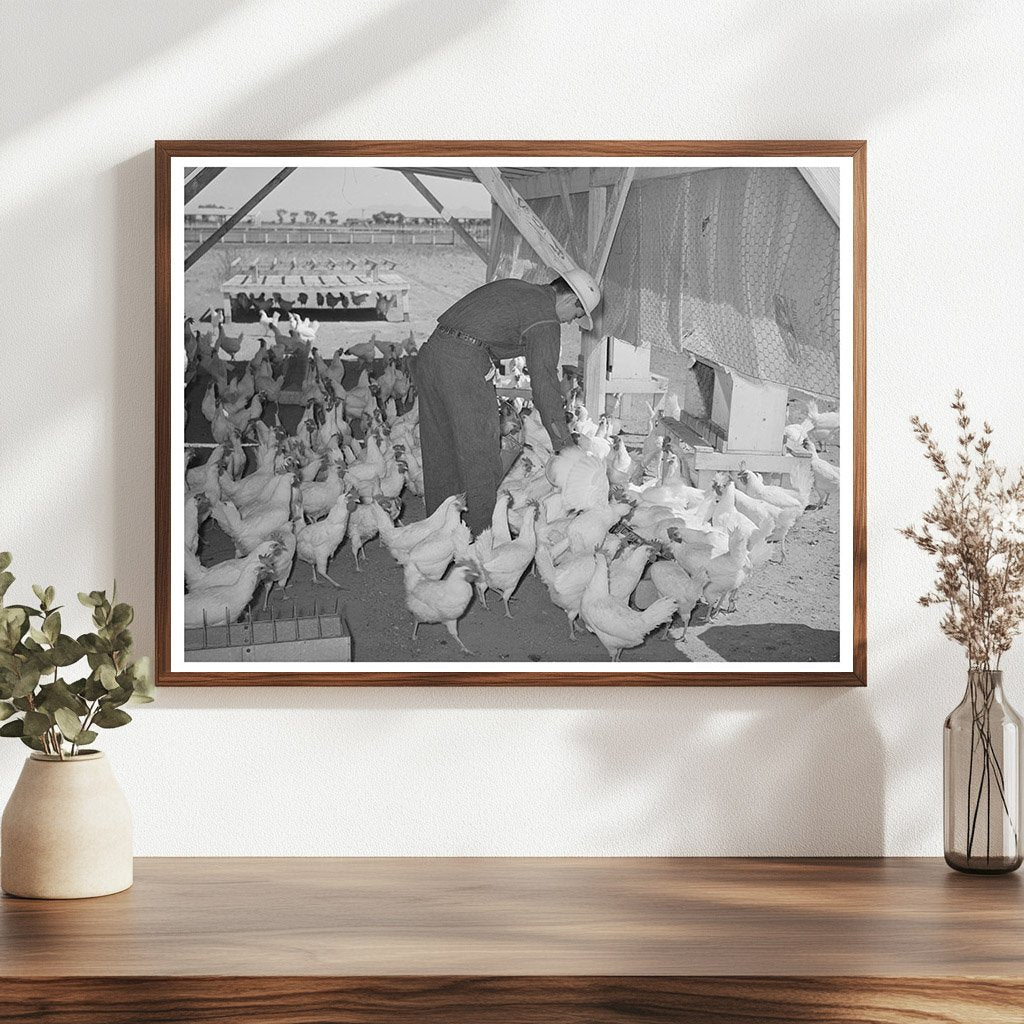 Chickens on Maricopa County Farm May 1940