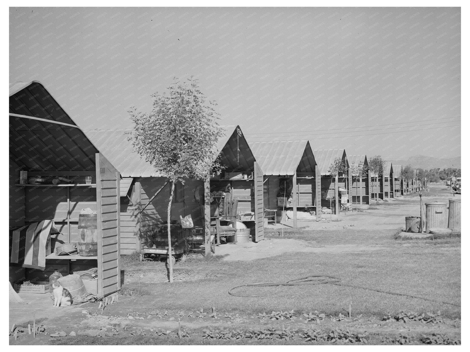 Metal Shelters for Agricultural Workers Arizona 1940
