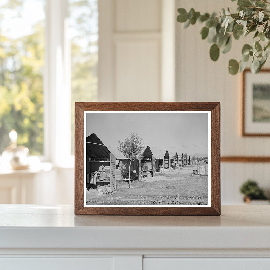 Metal Shelters for Agricultural Workers Arizona 1940
