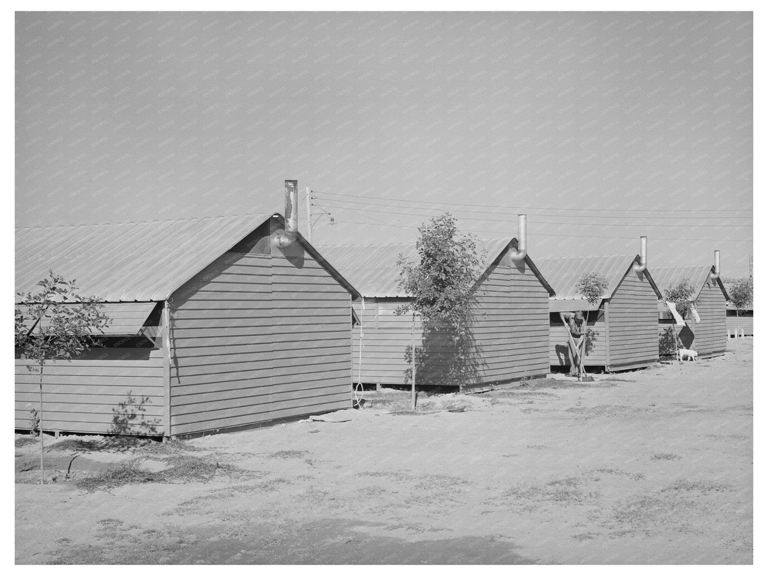 Aqua Fria Migratory Labor Camp Shelters May 1940