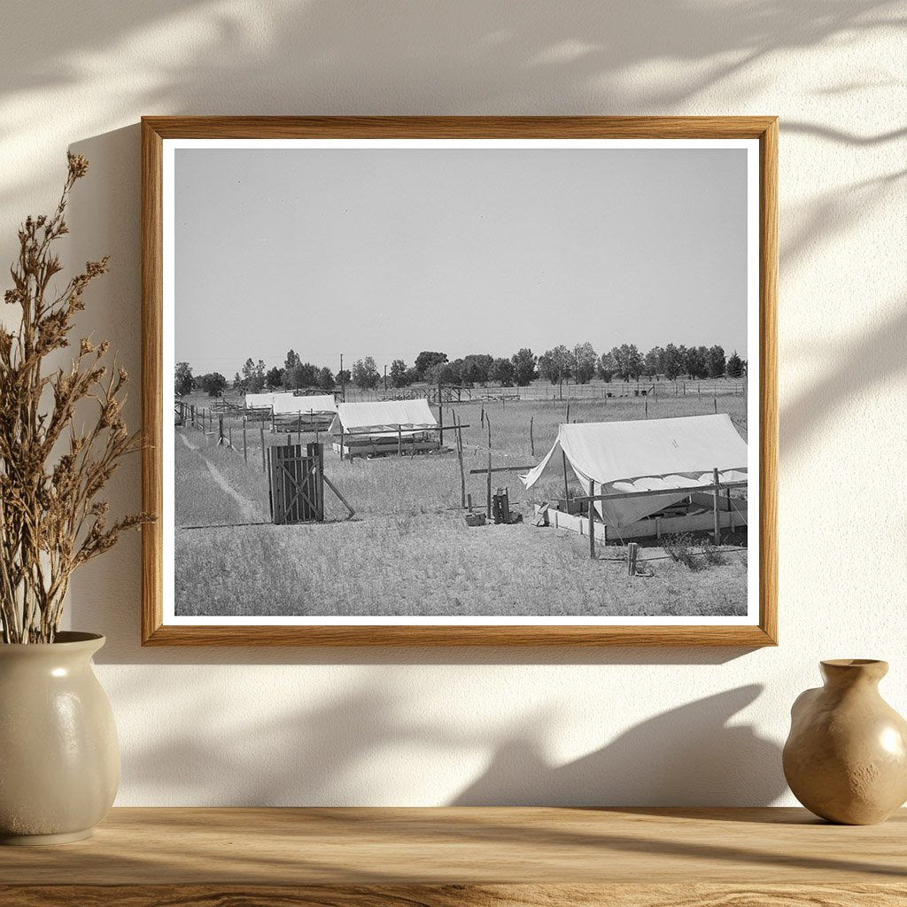 Brooder Tents for Chickens in Maricopa County 1940