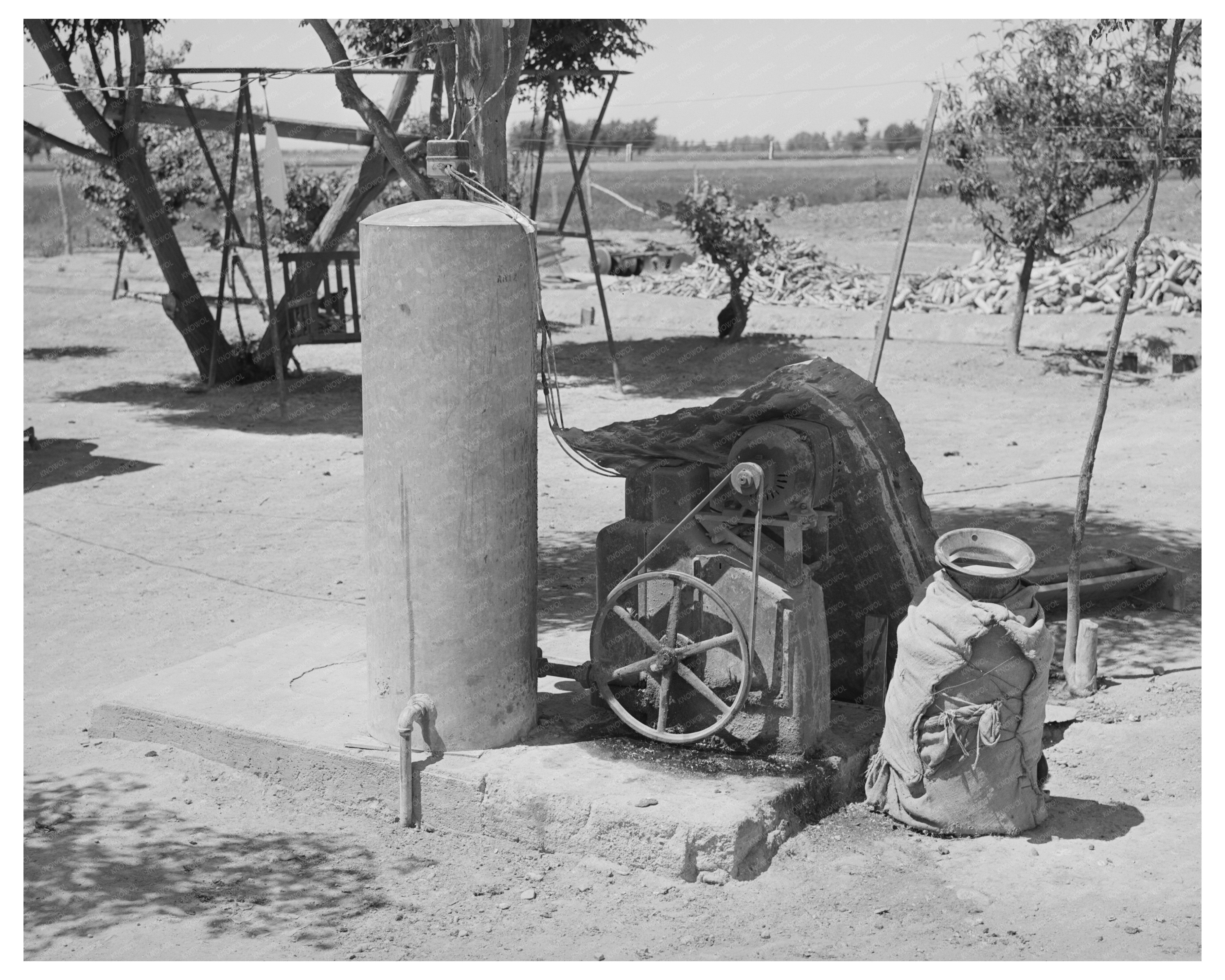 Electric Pump System and Milk Can on Arizona Farm 1940
