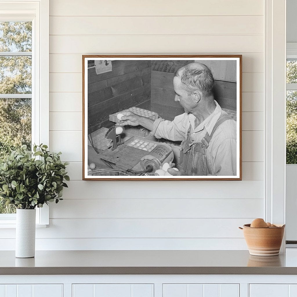 Workers Weighing Eggs for Grading in Maricopa County 1940