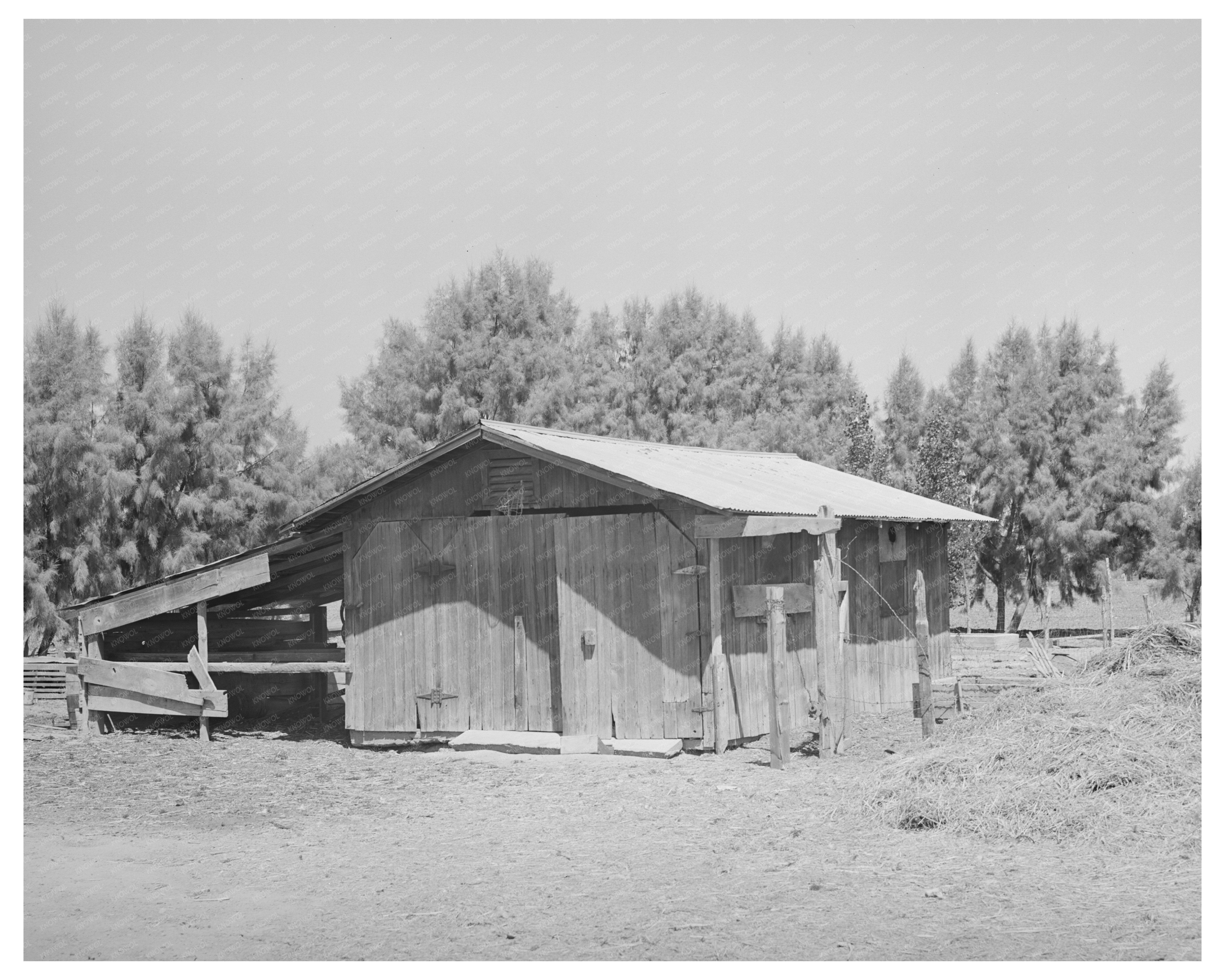 Vintage Barn in Maricopa County Arizona May 1940
