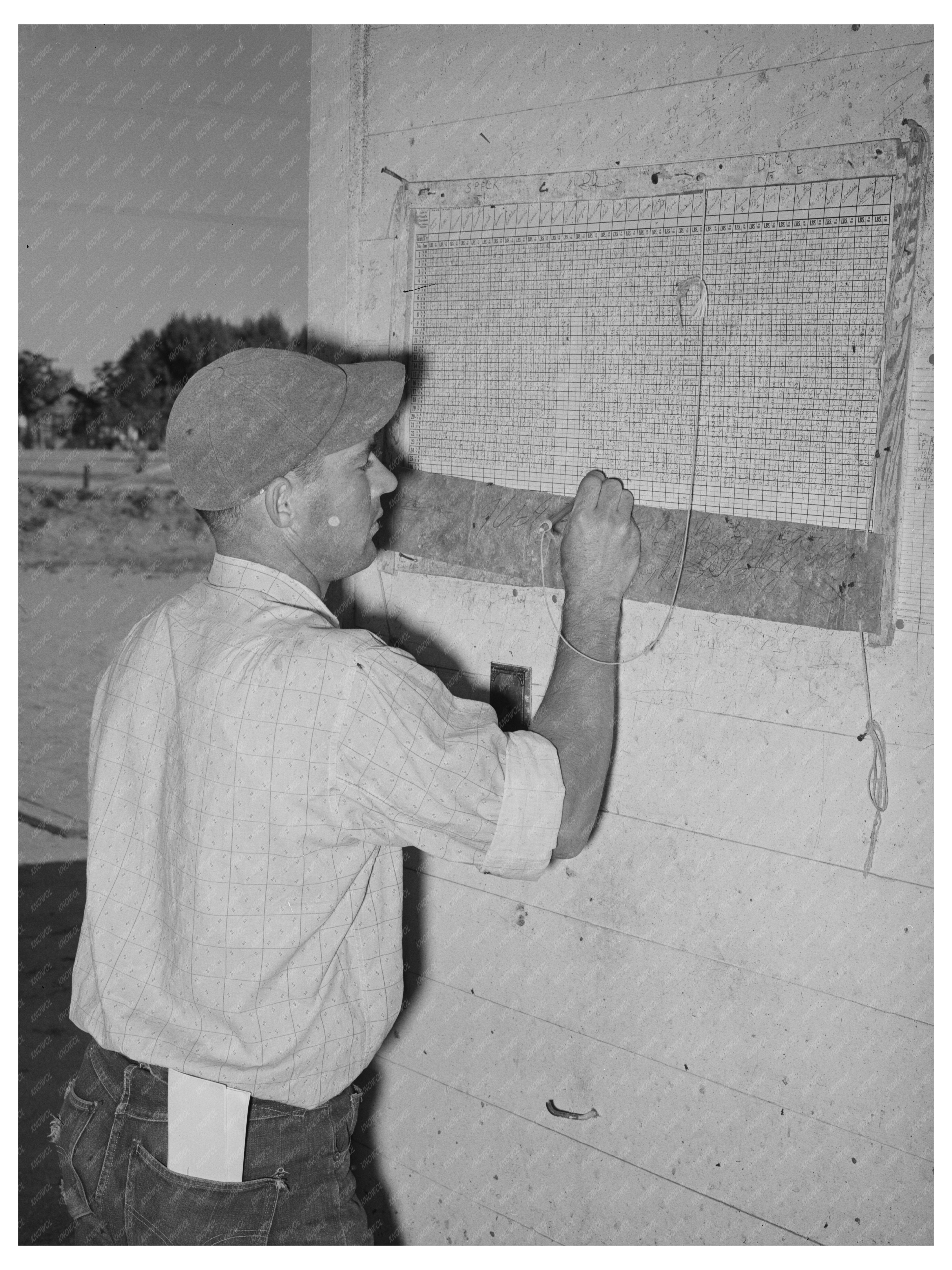 Daily Milk Production Records for Cows May 1940