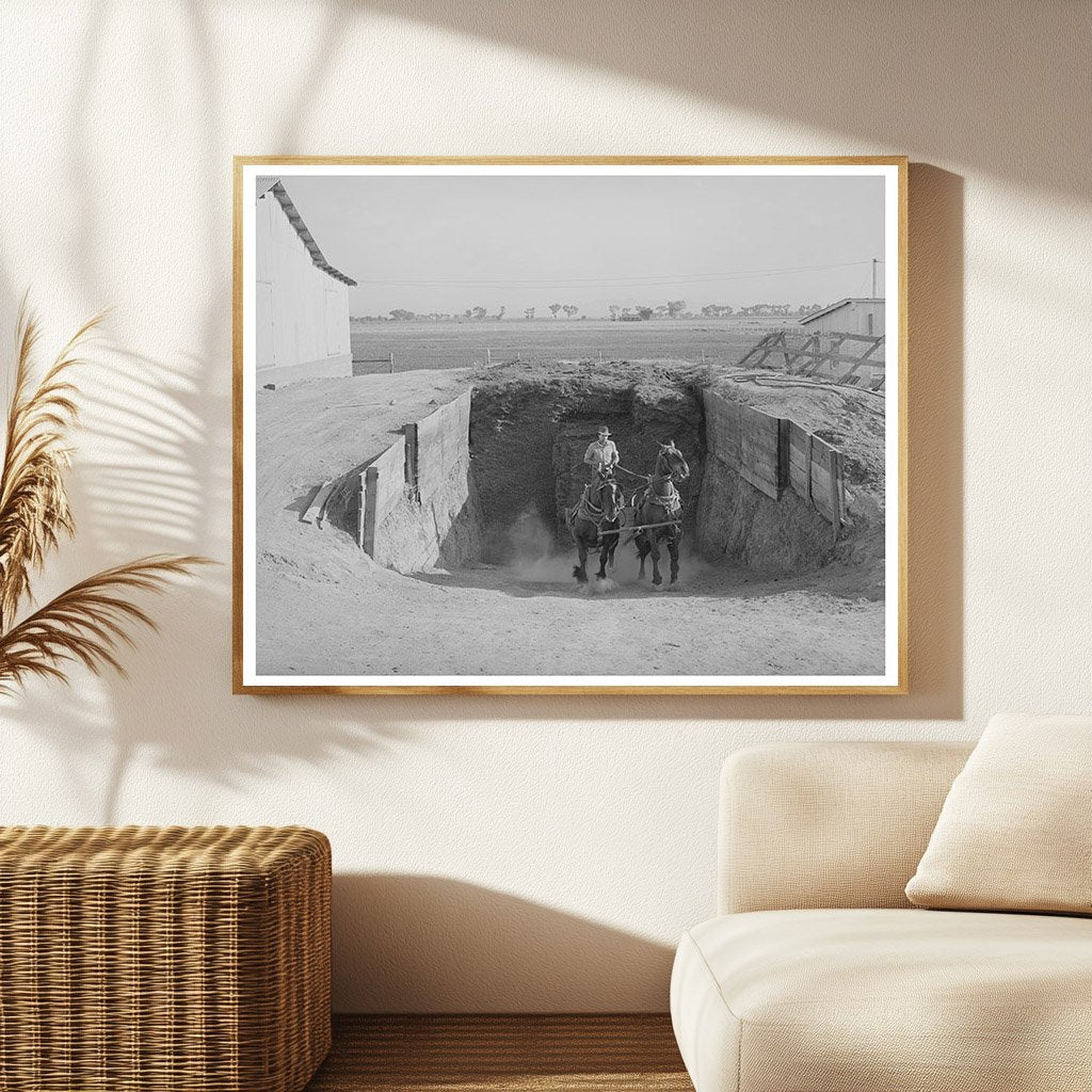 Arizona Farming Silage Transport May 1940