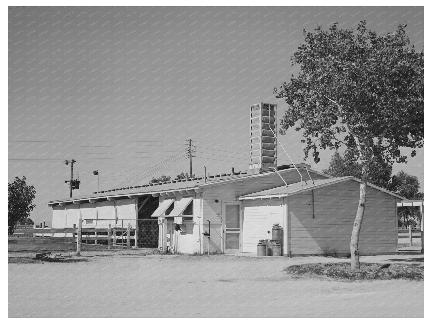 Dairy Barn Interior with Milking Stalls and Equipment 1940