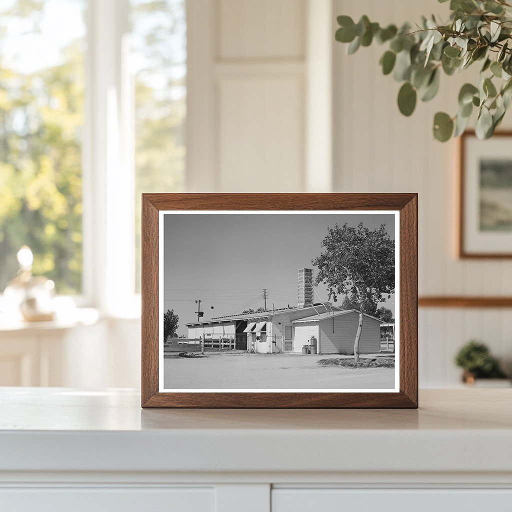 Dairy Barn Interior with Milking Stalls and Equipment 1940