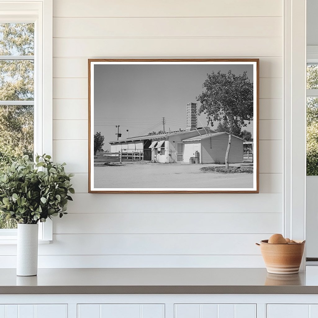 Dairy Barn Interior with Milking Stalls and Equipment 1940