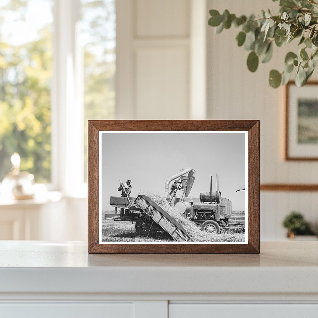 1940 Casa Grande Valley Hay Picker Upper and Chopper