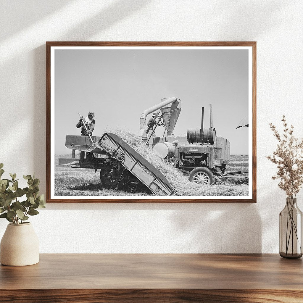 1940 Casa Grande Valley Hay Picker Upper and Chopper