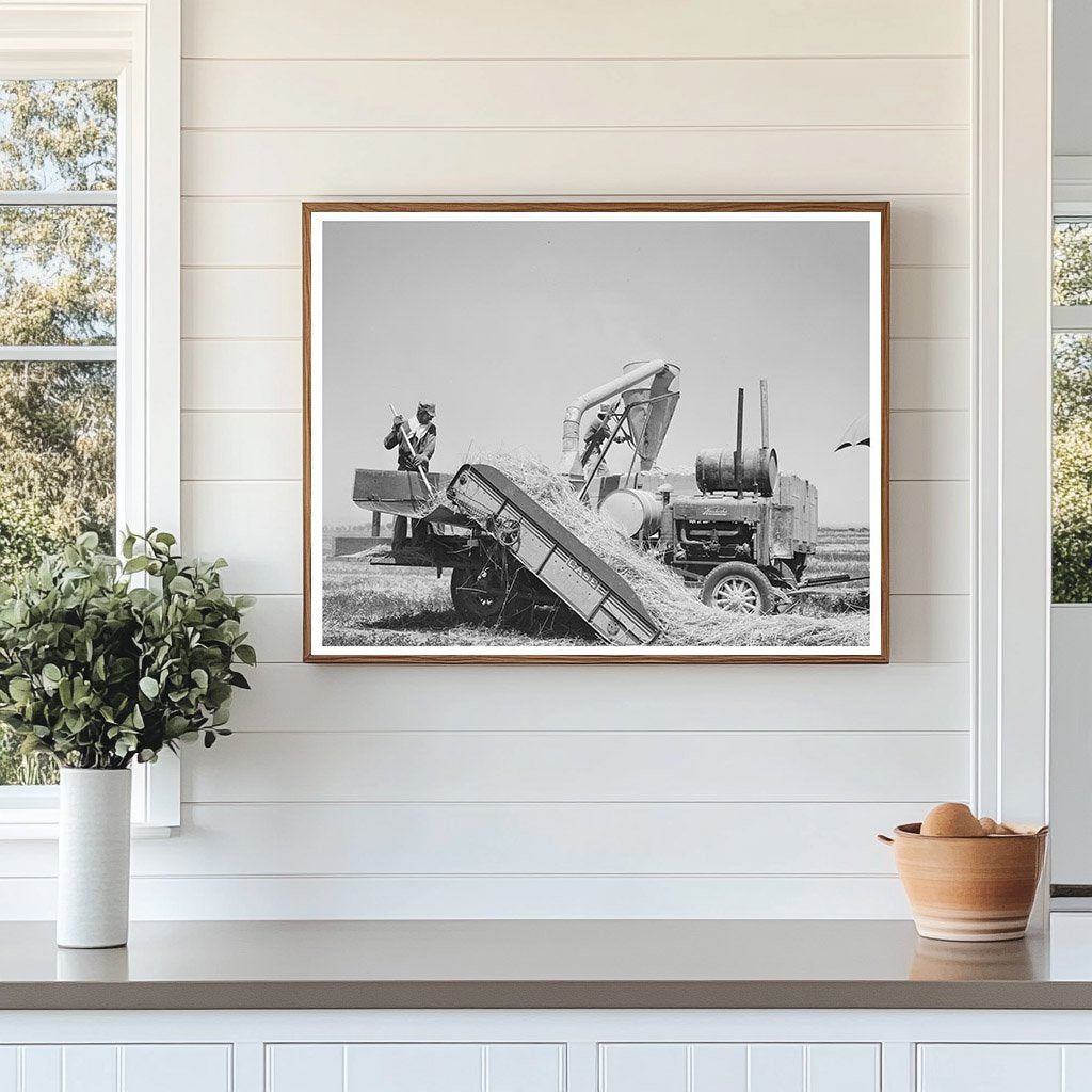 1940 Casa Grande Valley Hay Picker Upper and Chopper