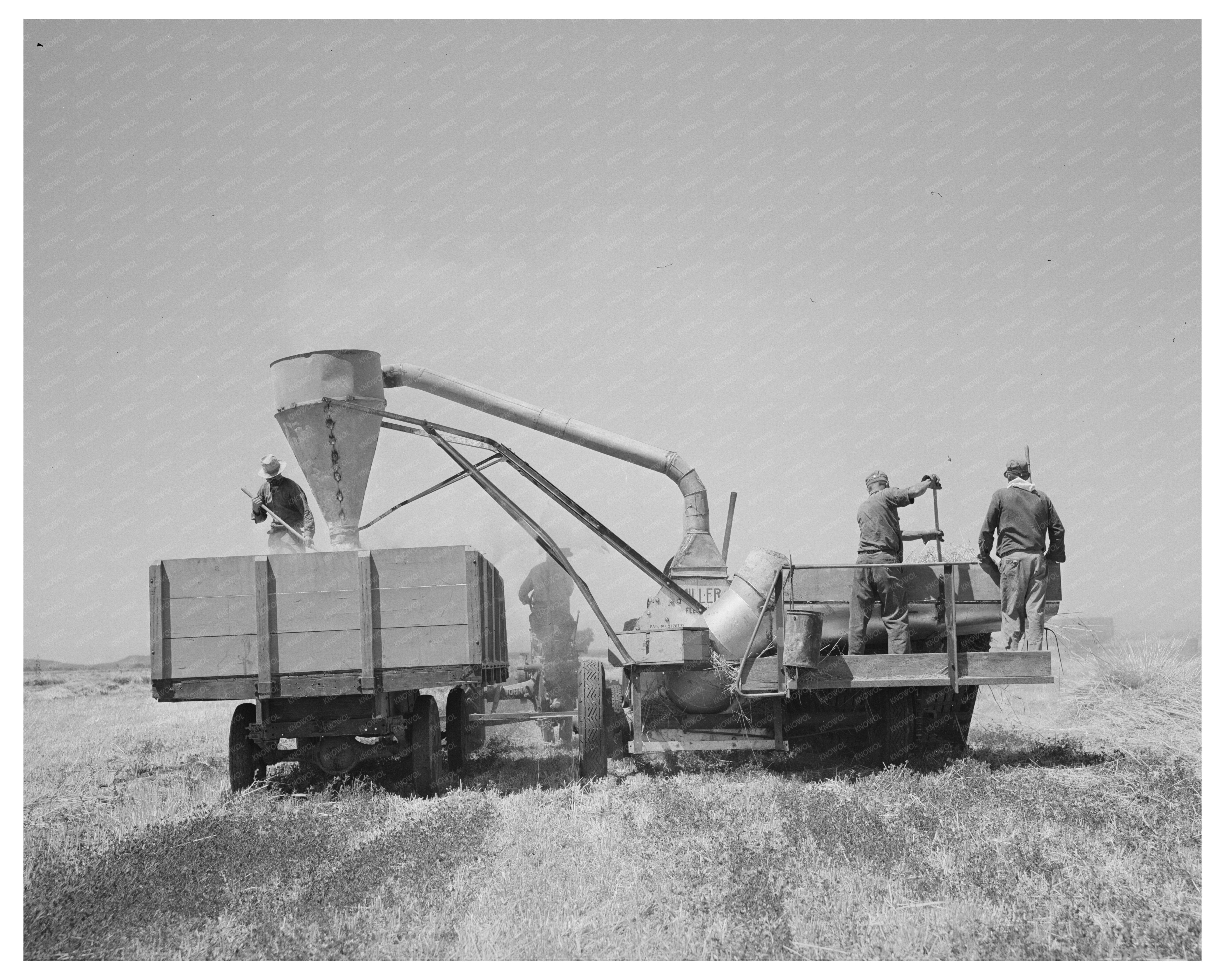 Combined Hay Picker-Upper and Chopper Arizona 1940