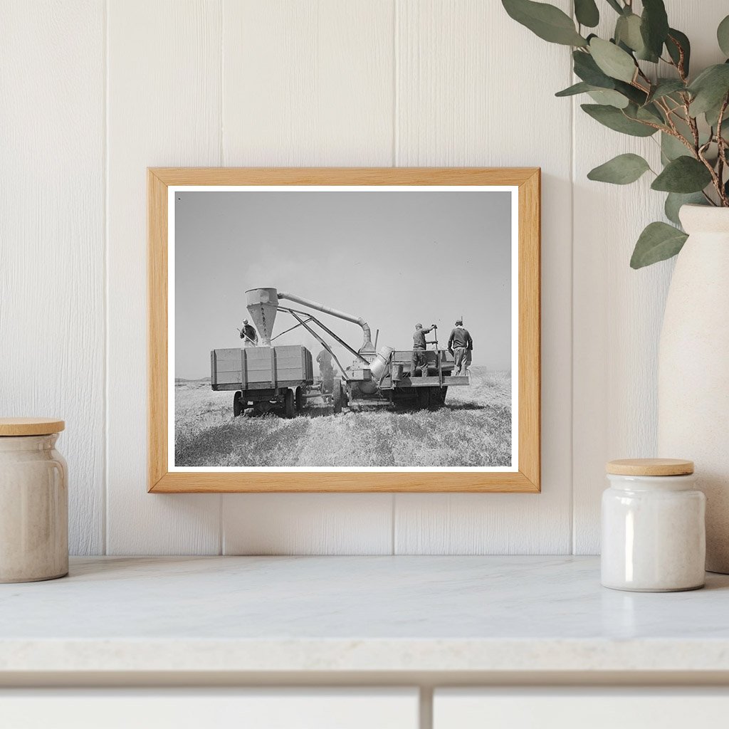 Combined Hay Picker-Upper and Chopper Arizona 1940