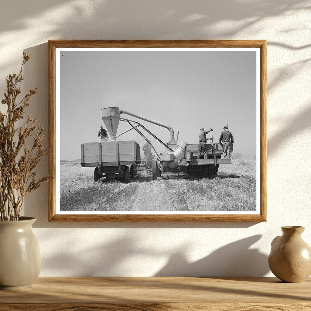 Combined Hay Picker-Upper and Chopper Arizona 1940