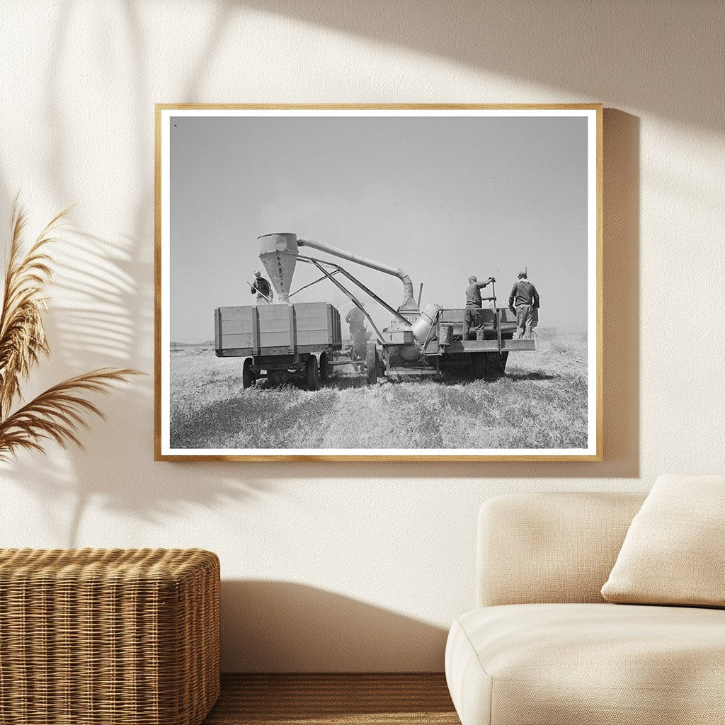 Combined Hay Picker-Upper and Chopper Arizona 1940