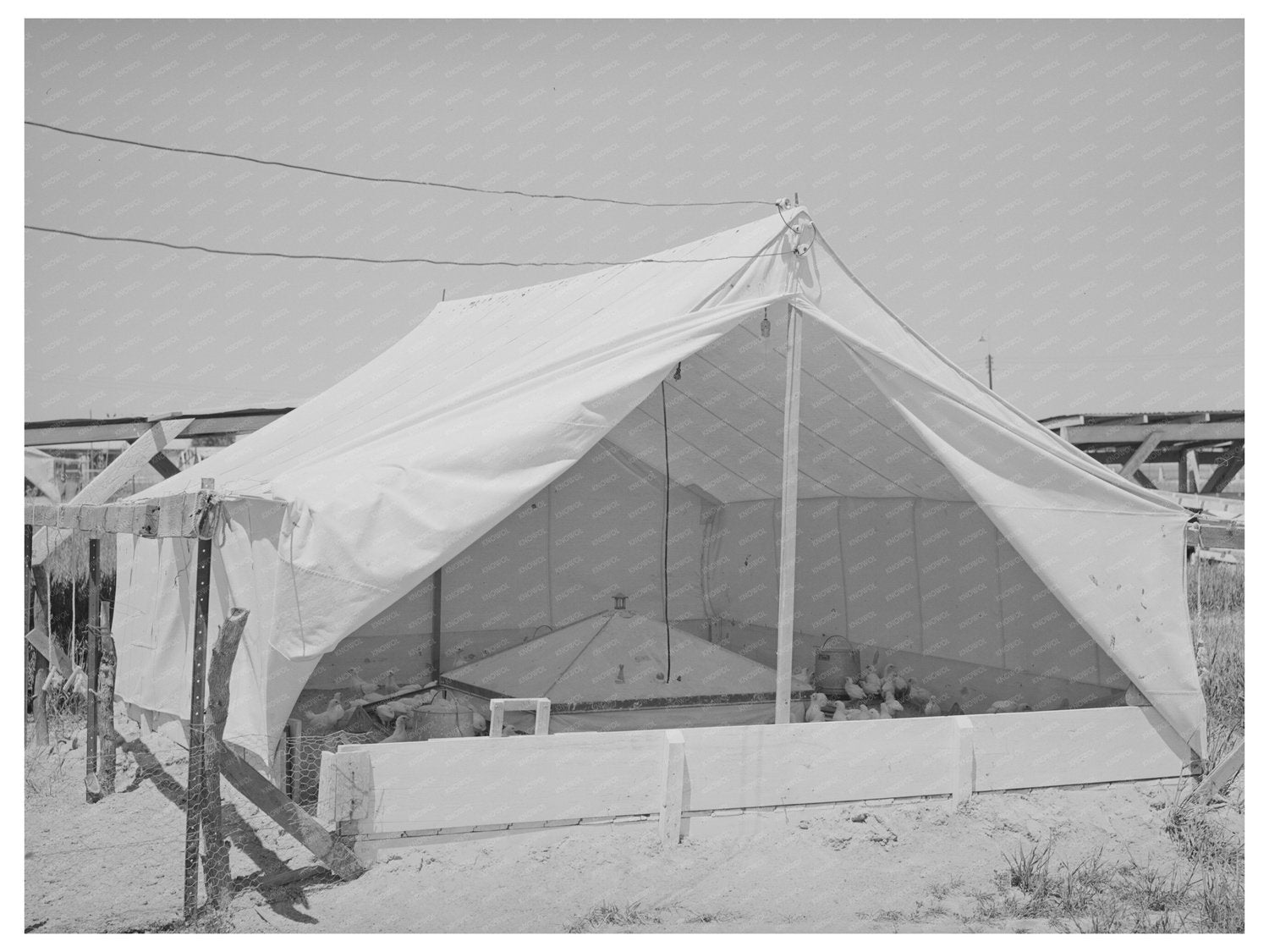 Breeder House for Chickens Casa Grande Valley Farms 1940