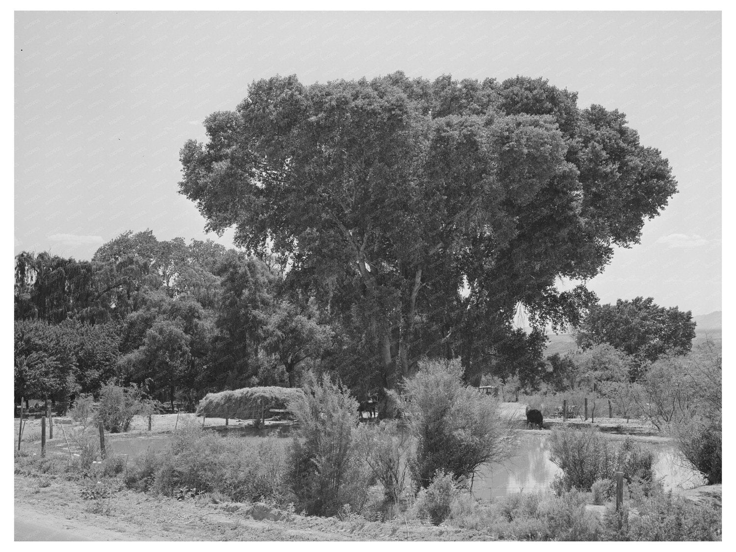 Water Storage Pools for Irrigation in Saint David 1940