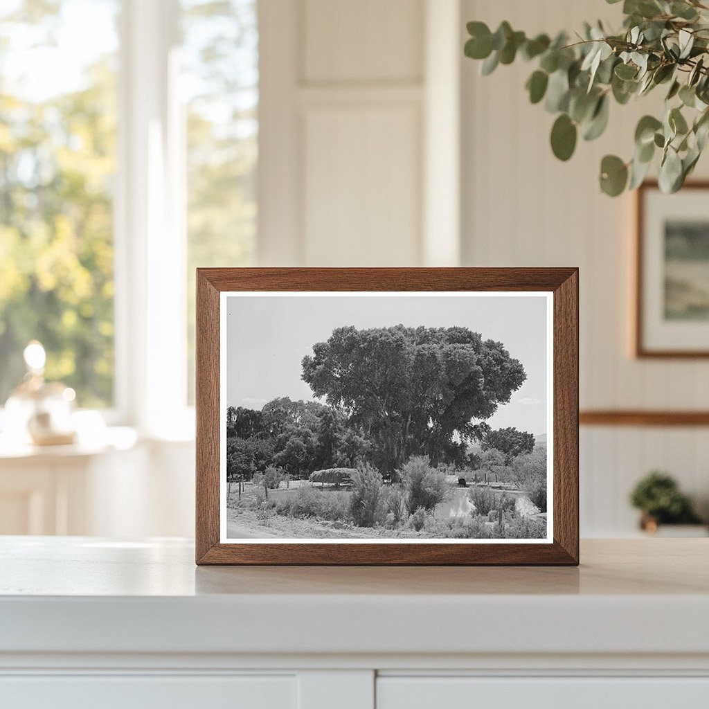 Water Storage Pools for Irrigation in Saint David 1940