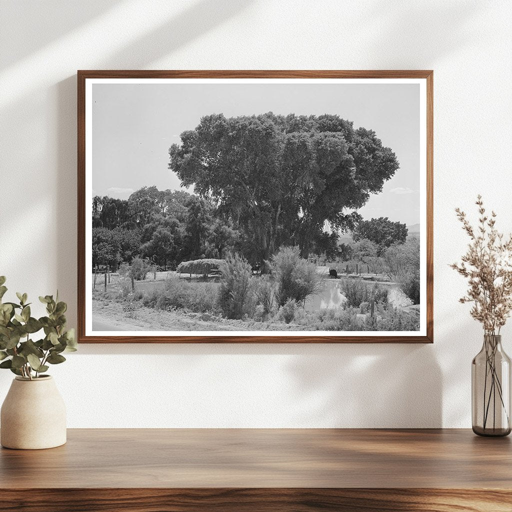 Water Storage Pools for Irrigation in Saint David 1940