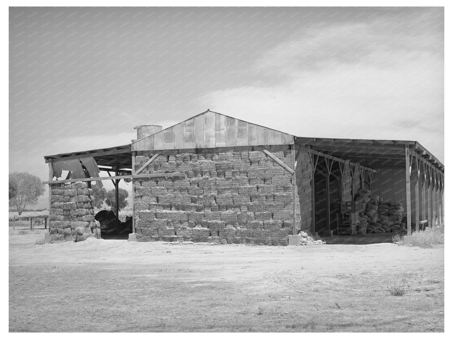 Baled Hay for Feed at Casa Grande Valley Farms 1940