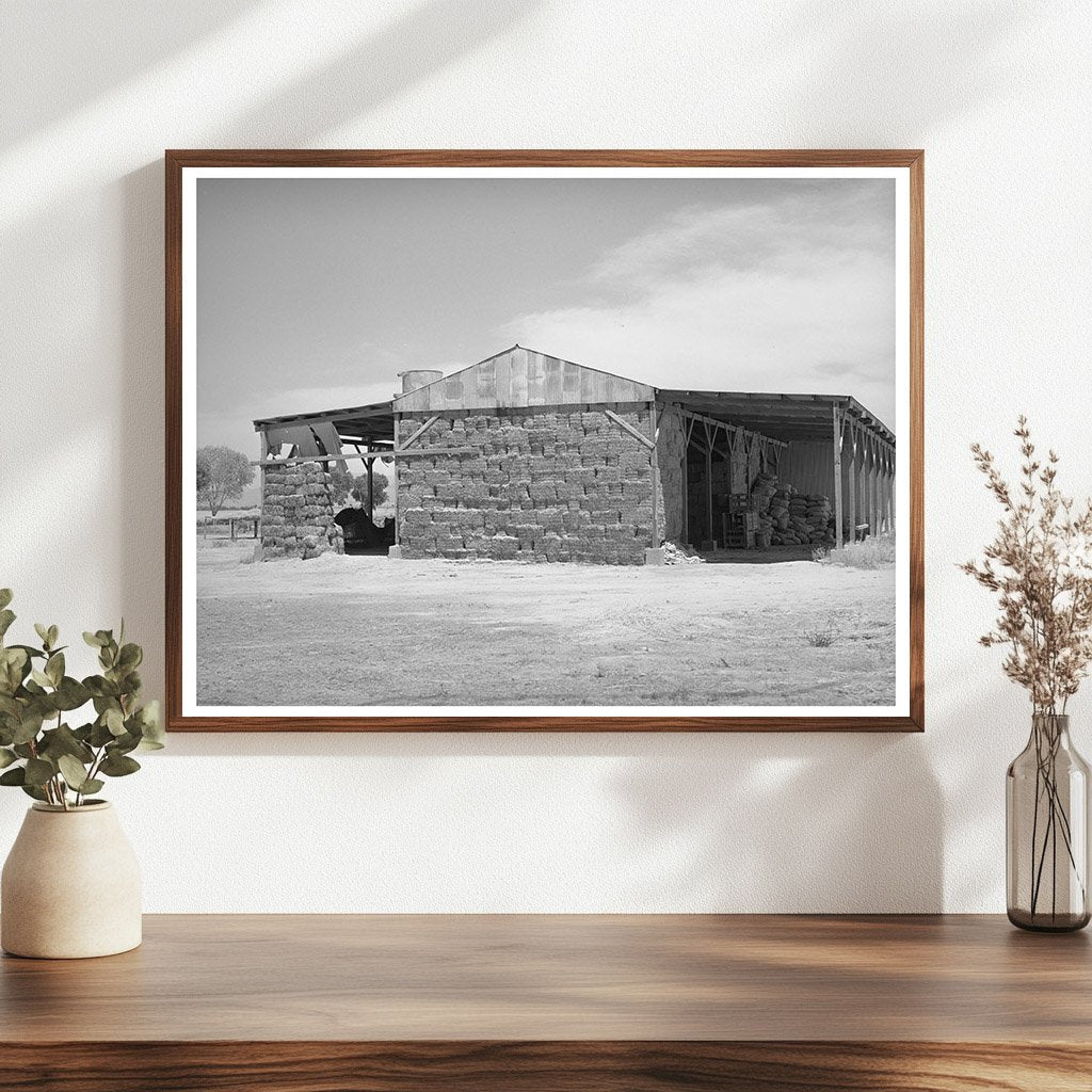 Baled Hay for Feed at Casa Grande Valley Farms 1940